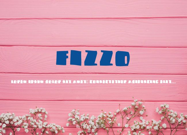 Fizzo example