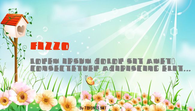 Fizzo example