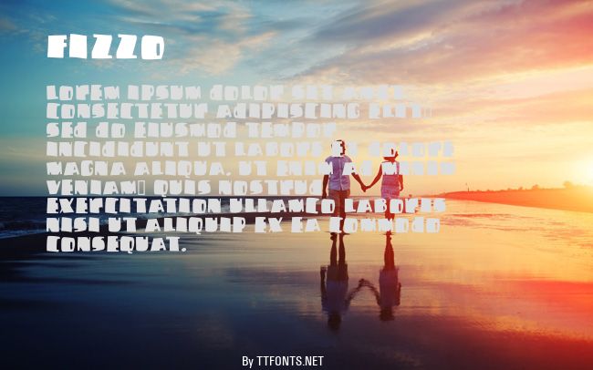 Fizzo example