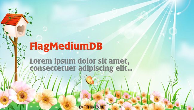 FlagMediumDB example
