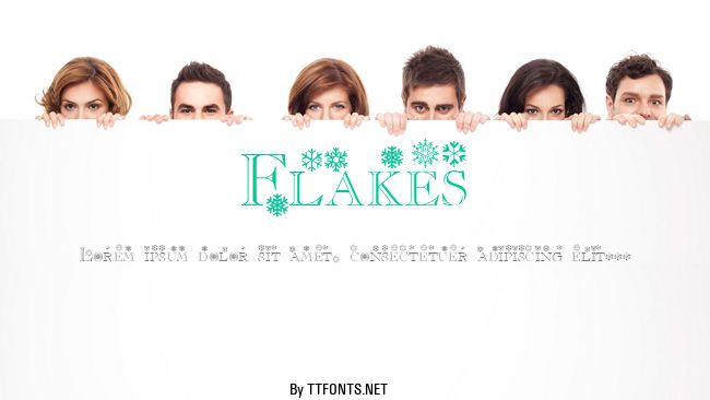 Flakes example