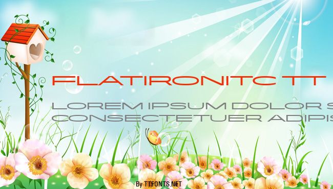 FlatironITC TT example