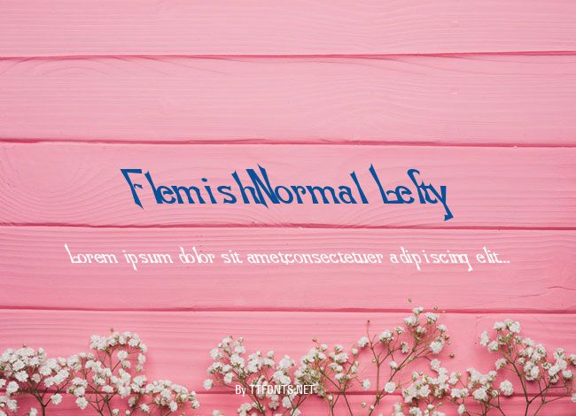 Flemish-Normal Lefty example