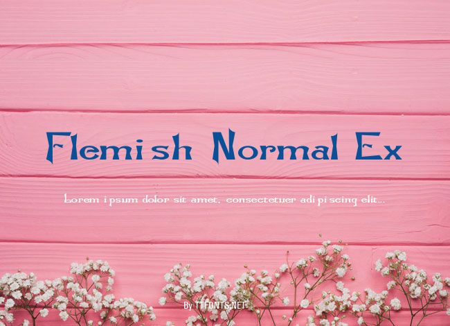 Flemish-Normal Ex example
