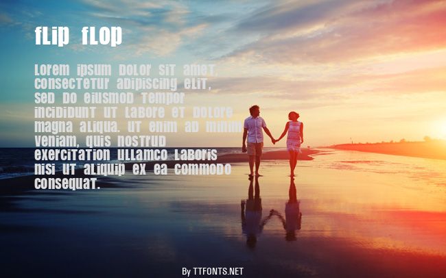 Flip Flop example