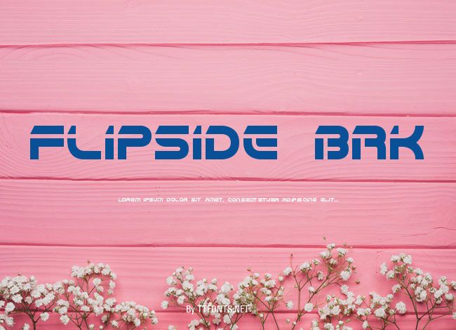 Flipside BRK example