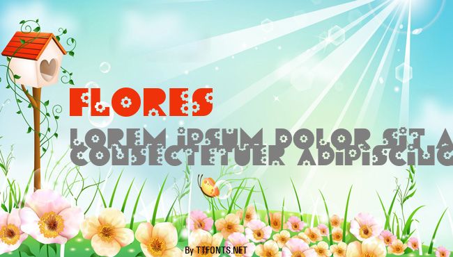 Flores example