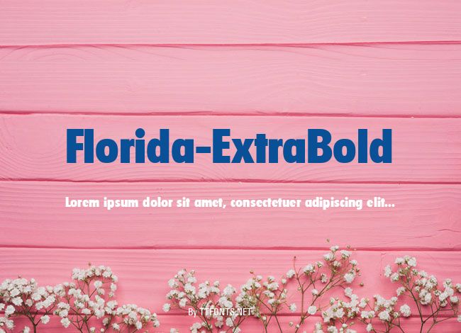Florida-ExtraBold example
