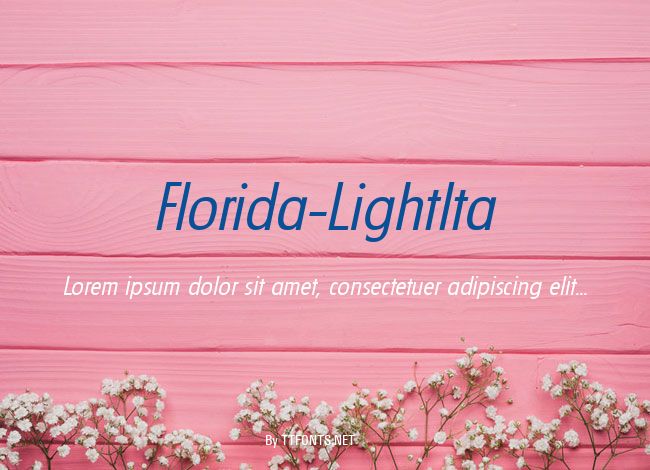 Florida-LightIta example