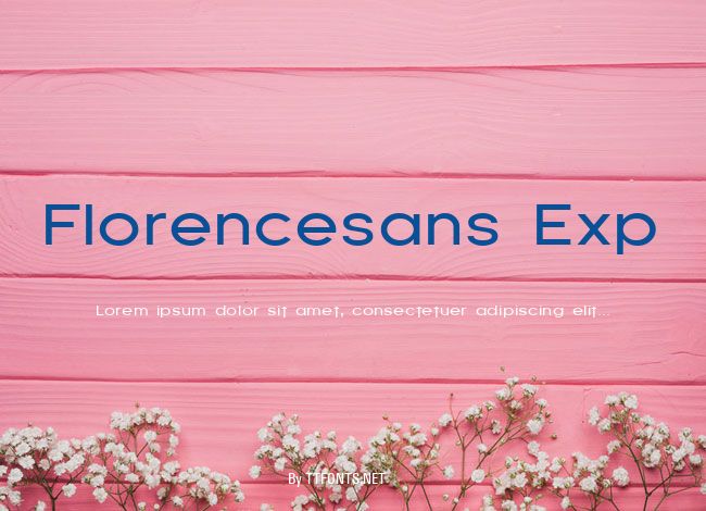 Florencesans Exp example