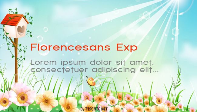 Florencesans Exp example