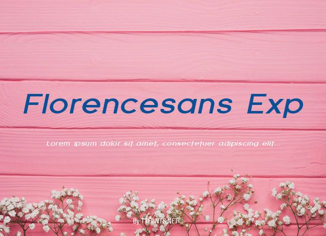 Florencesans Exp example