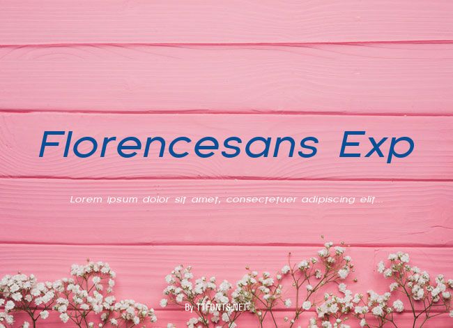 Florencesans Exp example