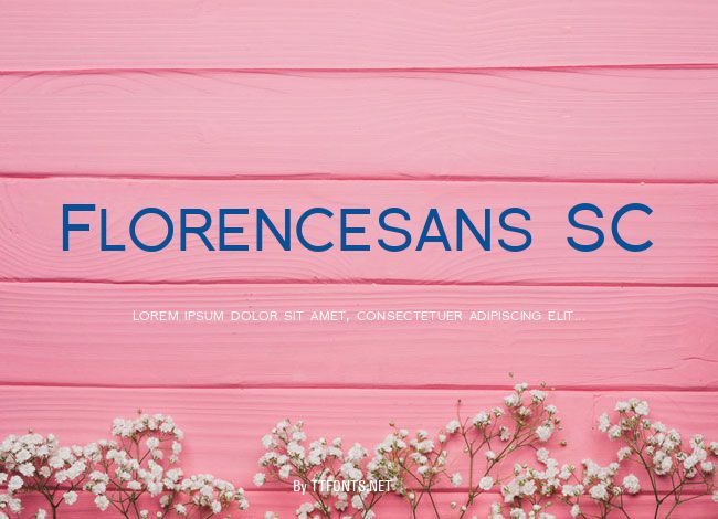 Florencesans SC example