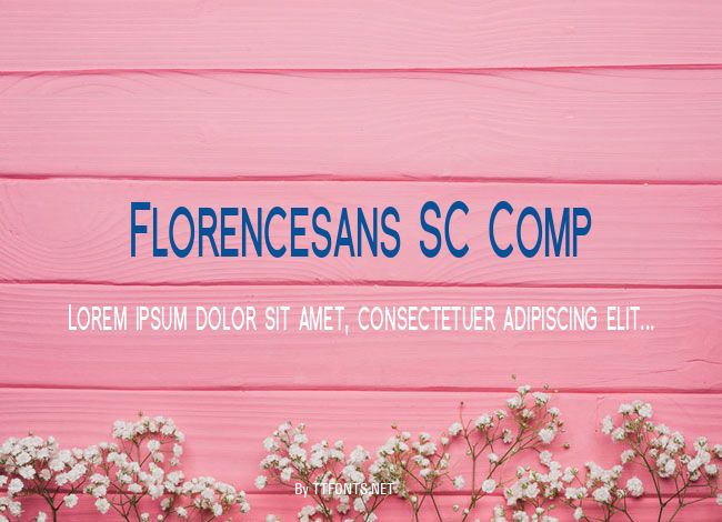 Florencesans SC Comp example