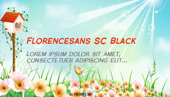 Florencesans SC Black example