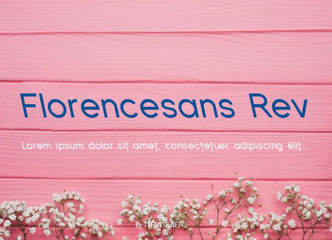 Florencesans Rev example