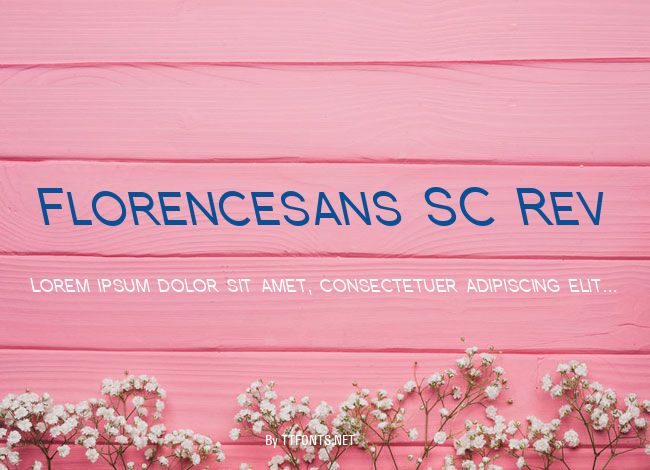 Florencesans SC Rev example