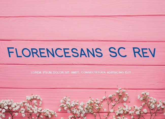 Florencesans SC Rev example