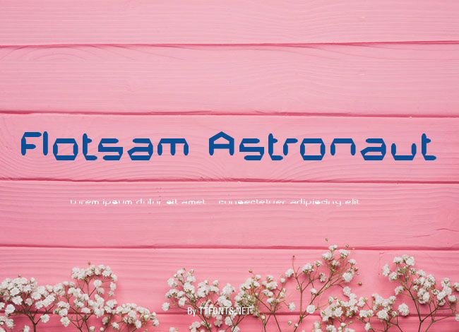 Flotsam Astronaut example