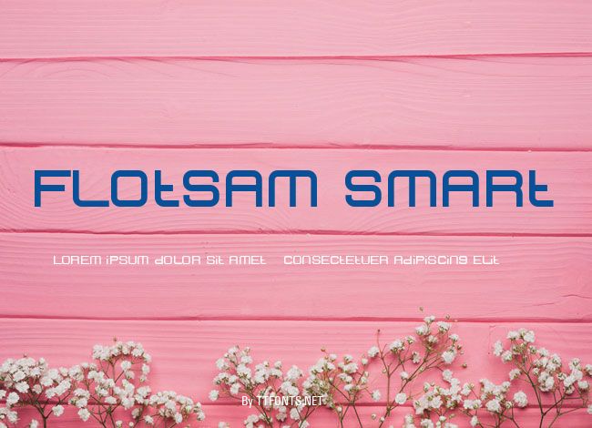 Flotsam Smart example