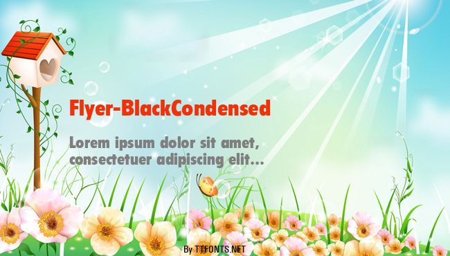 Flyer-BlackCondensed example