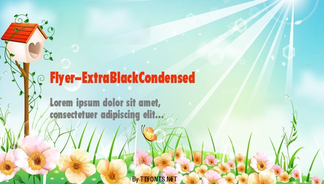 Flyer-ExtraBlackCondensed example