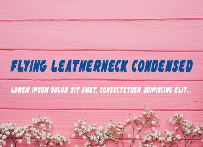 Flying Leatherneck Condensed example