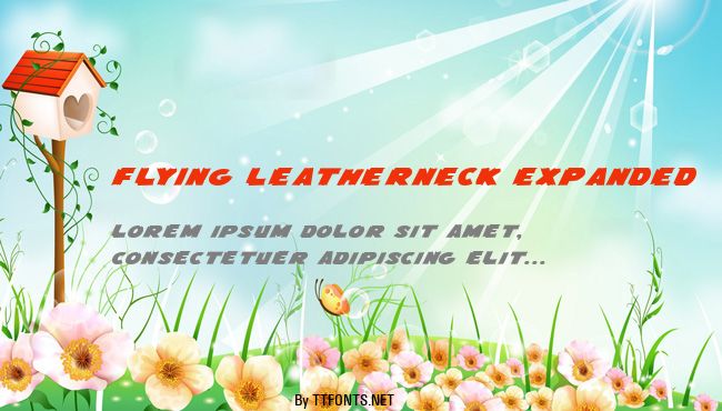 Flying Leatherneck Expanded example