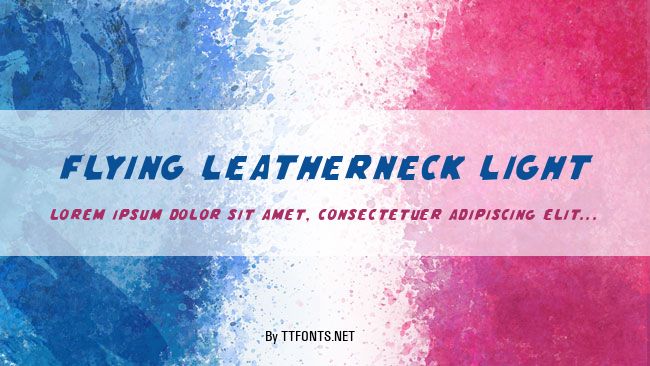 Flying Leatherneck Light example