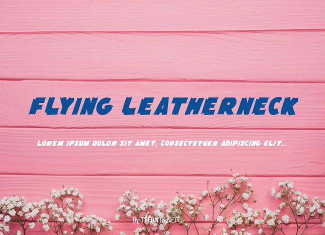 Flying Leatherneck example