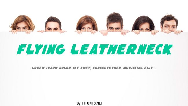Flying Leatherneck example