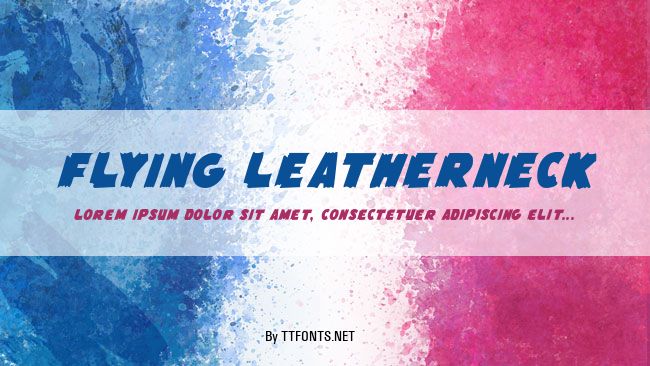 Flying Leatherneck example