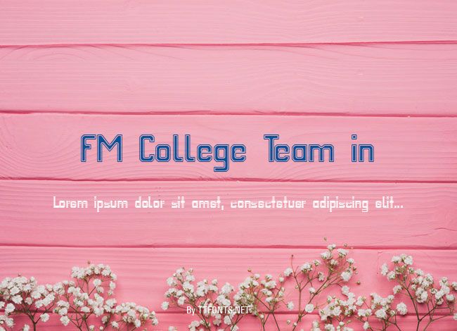 FM College Team in&out example