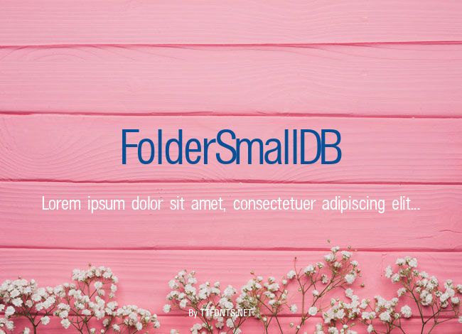 FolderSmallDB example