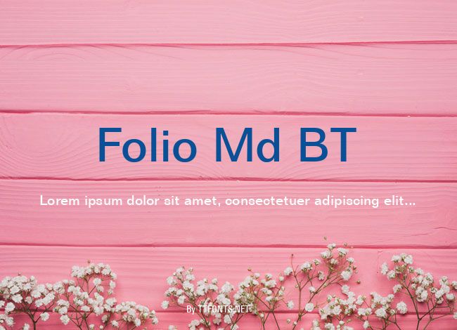 Folio Md BT example