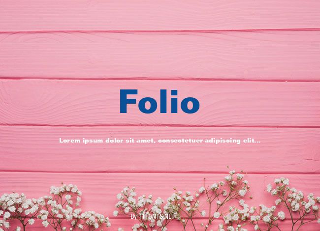 Folio example