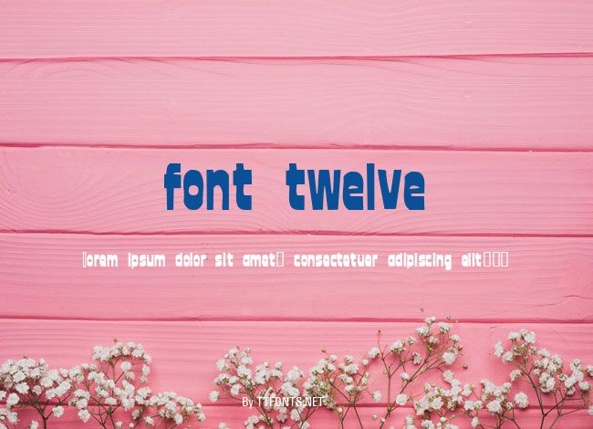 font twelve example