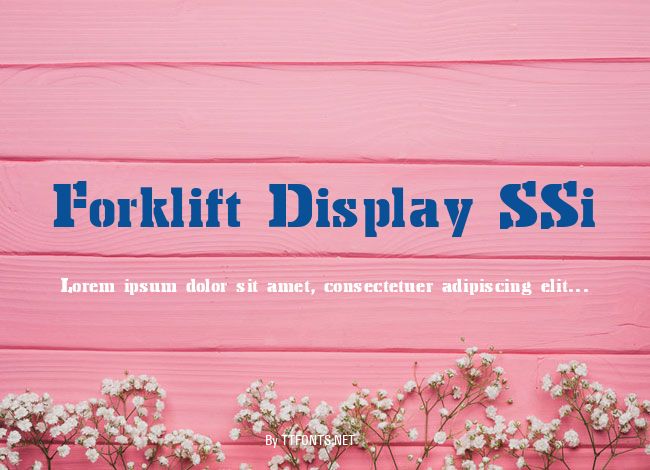 Forklift Display SSi example