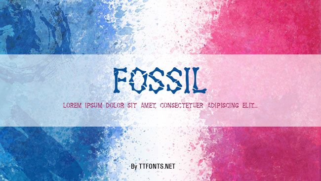 Fossil example