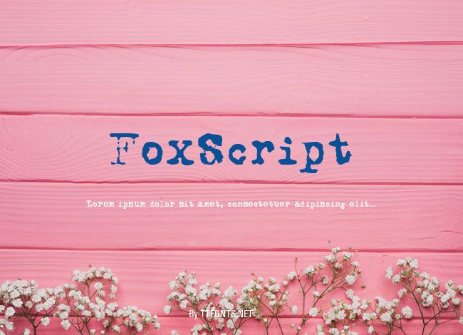FoxScript example