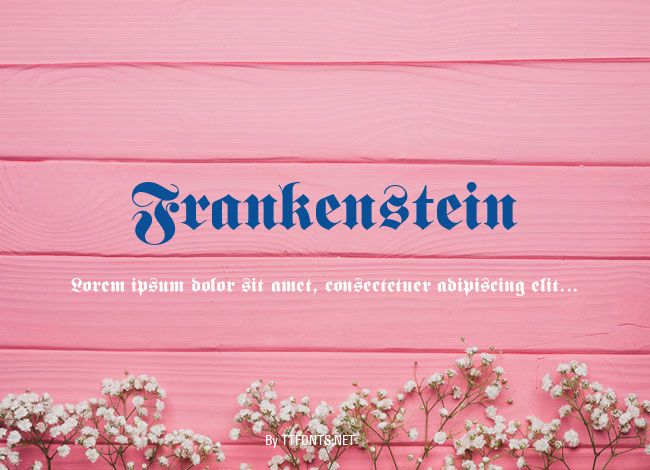 Frankenstein example
