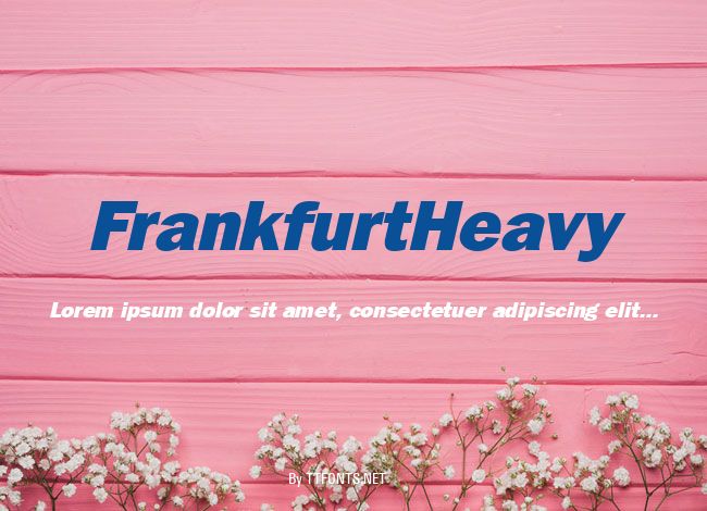 FrankfurtHeavy example