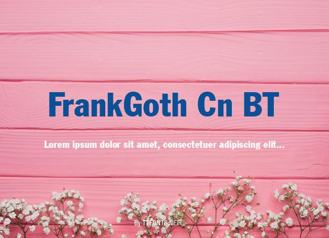 FrankGoth Cn BT example