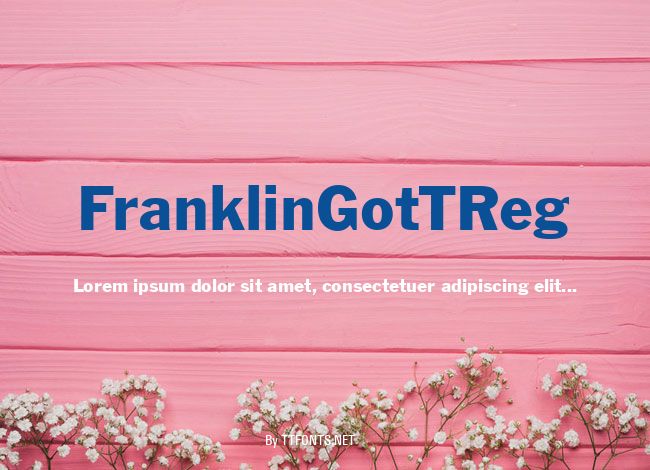 FranklinGotTReg example