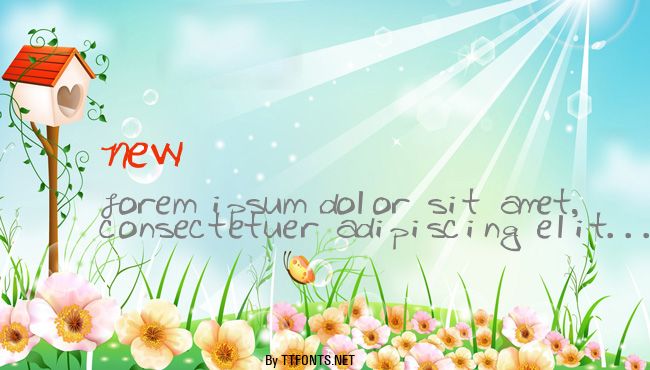 New example