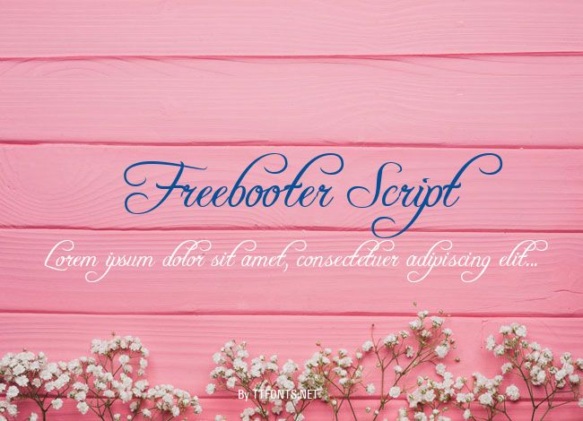 Freebooter Script example