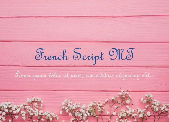 French Script MT example