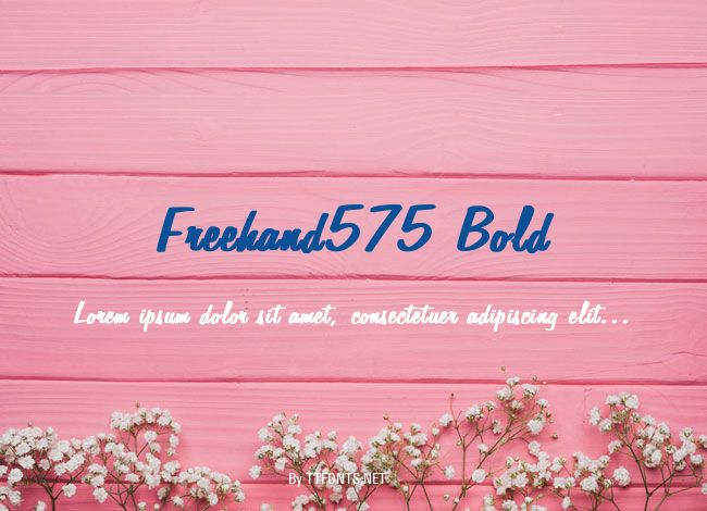 Freehand575 Bold example