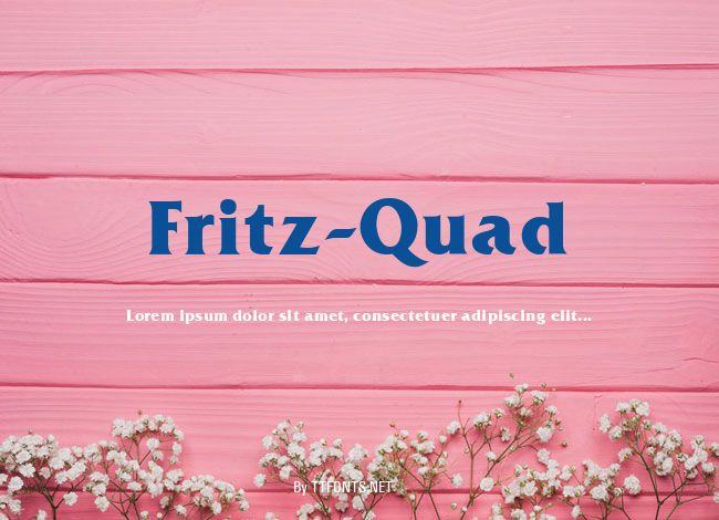 Fritz-Quad example